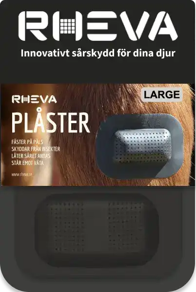 Rheva Large