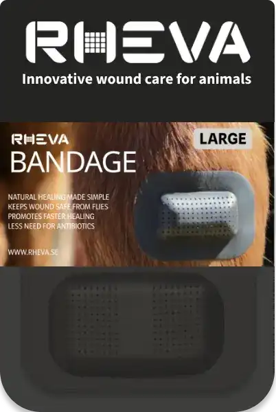 Rheva Large
