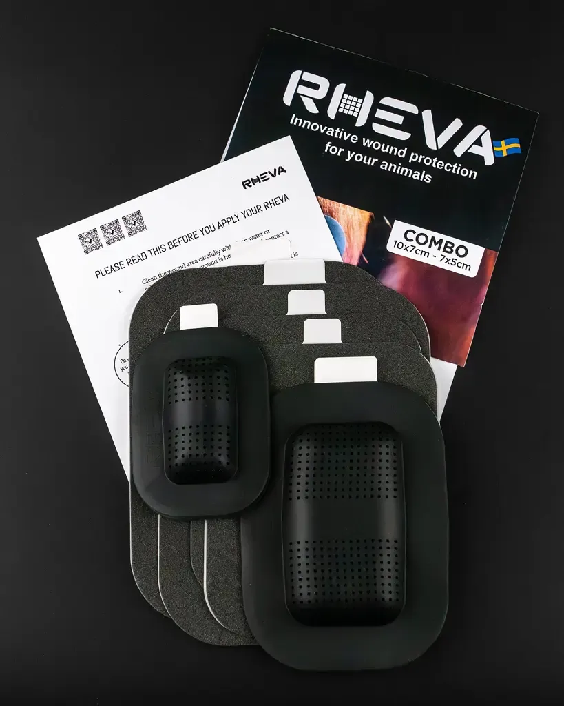 Rheva Large — 2