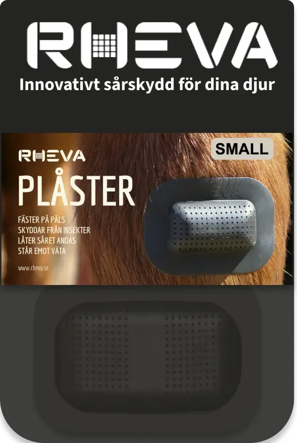 Rheva Small