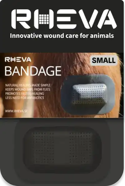 Rheva Small