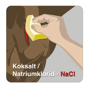 Rengöring av sårområde på djur