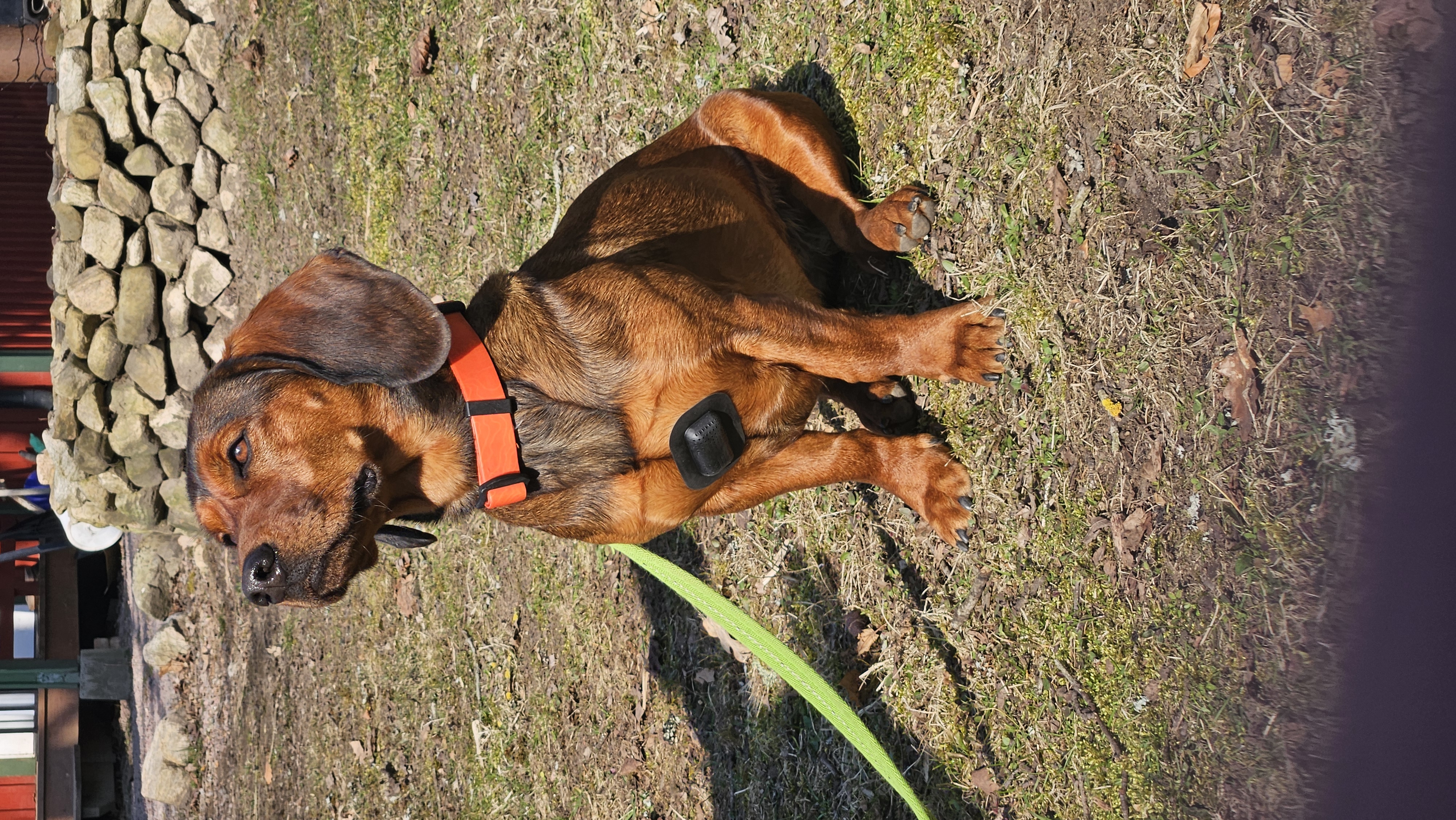 /images/img_fallback.webp